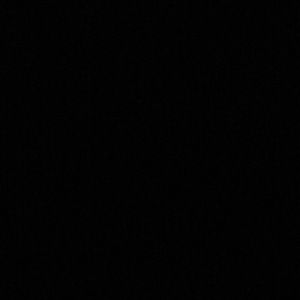 Meet your Posher, Ava